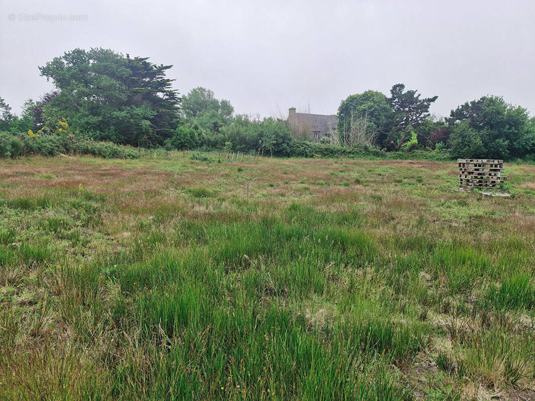 Terrain à LANDUNVEZ