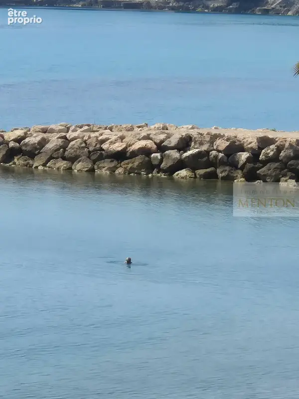 roquebrune cap martin, 2 pièces front de, mer terrasse+de 12 m2, cave - photo 3