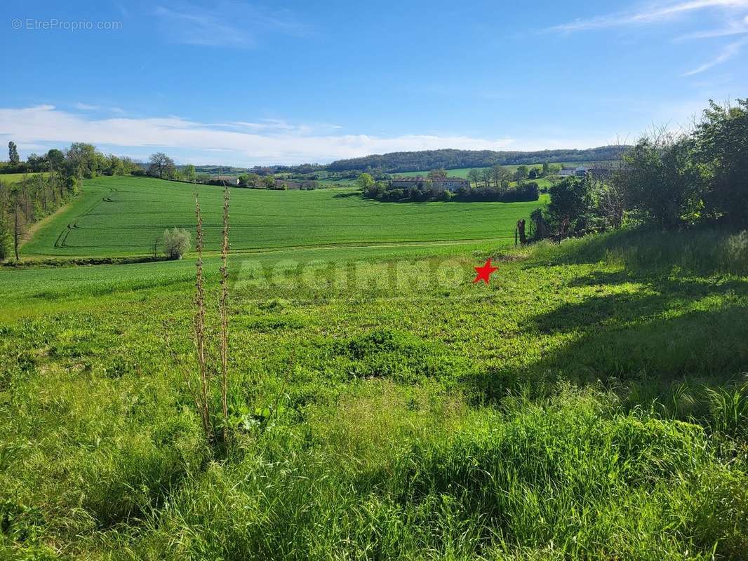 Maison à SAINT-PAUL-CAP-DE-JOUX
