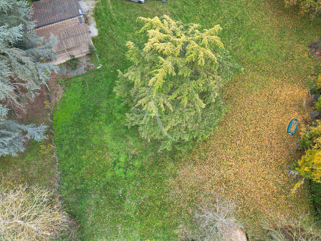 Terrain à VILLIERS-CHARLEMAGNE