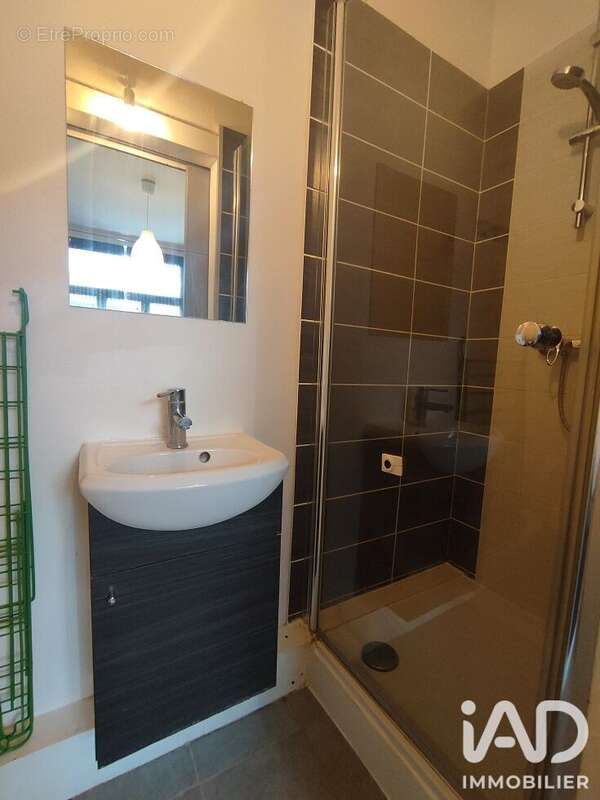 Maison 321 m² à Lille  - photo 5