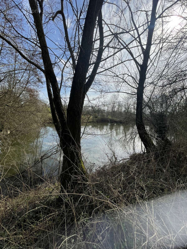 Terrain à TOUL