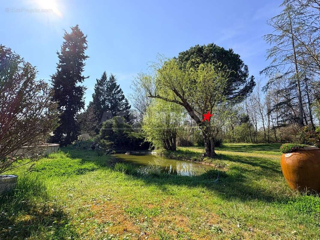 Maison à MONTASTRUC-LA-CONSEILLERE