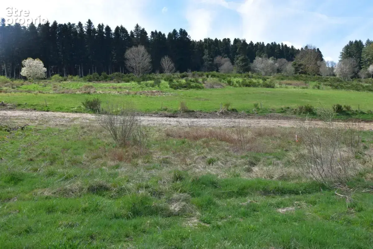 Terrain à DUNIERES