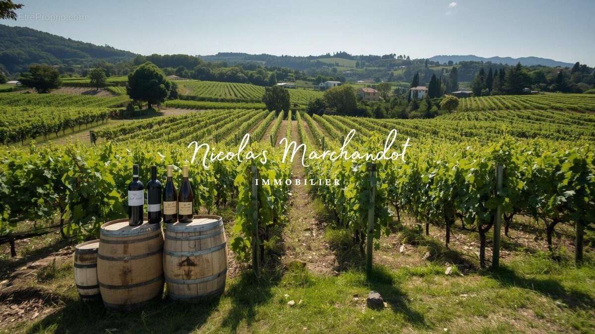 Photo 3 - Commerce à LANTIGNIE