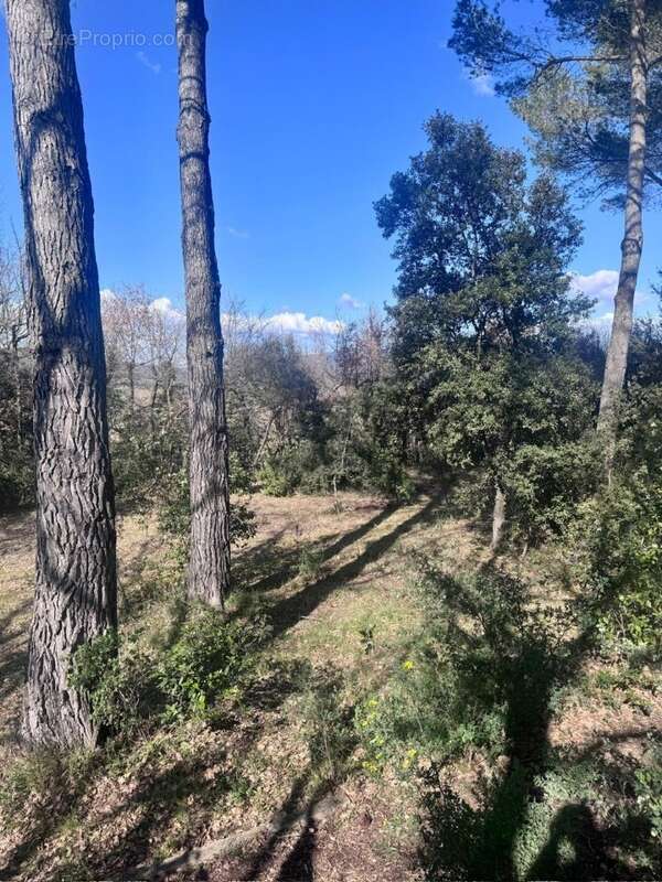 Terrain à LA ROQUE-D'ANTHERON