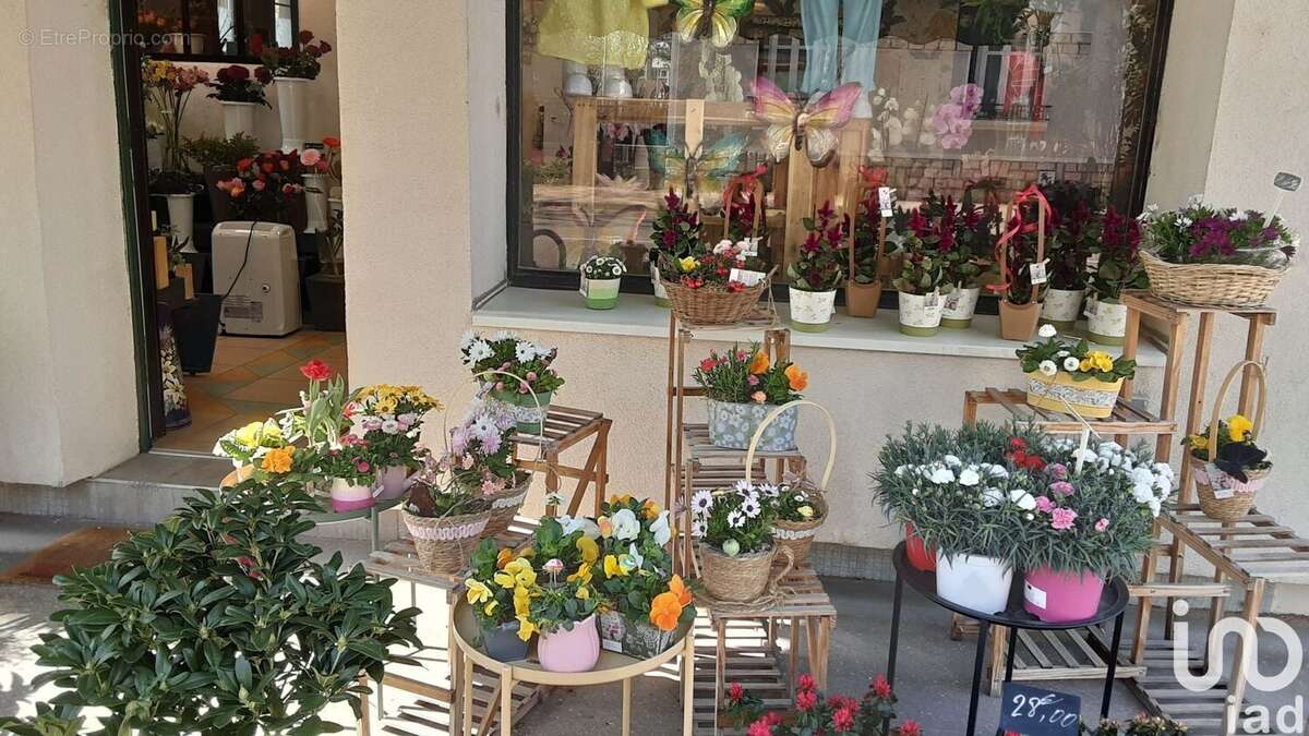 Photo 2 - Commerce à DIJON