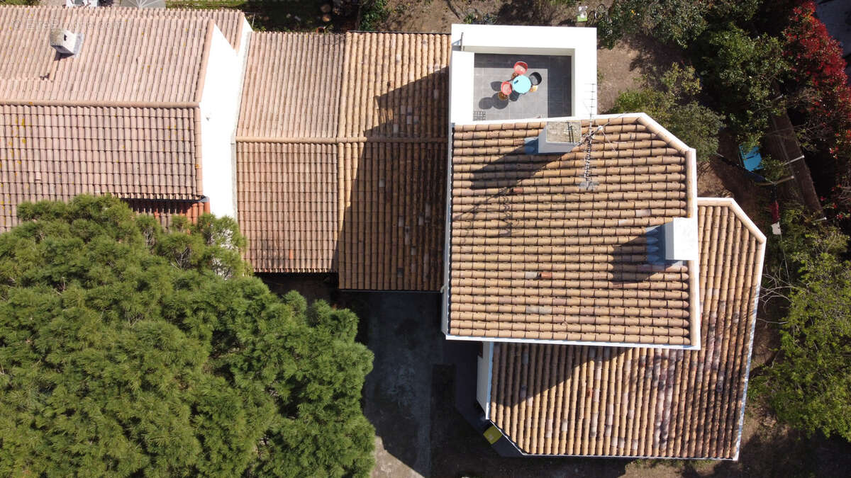 Maison à MONTPELLIER