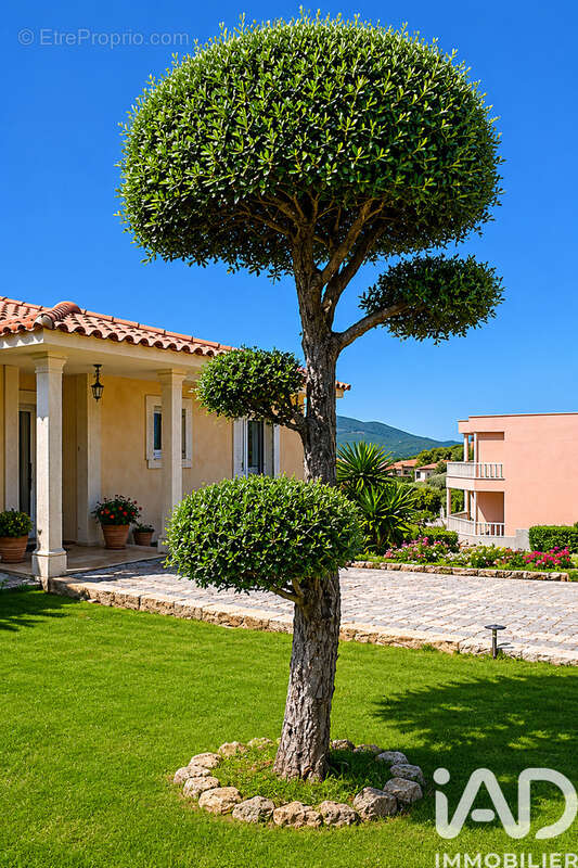 Photo 6 - Maison à PROPRIANO