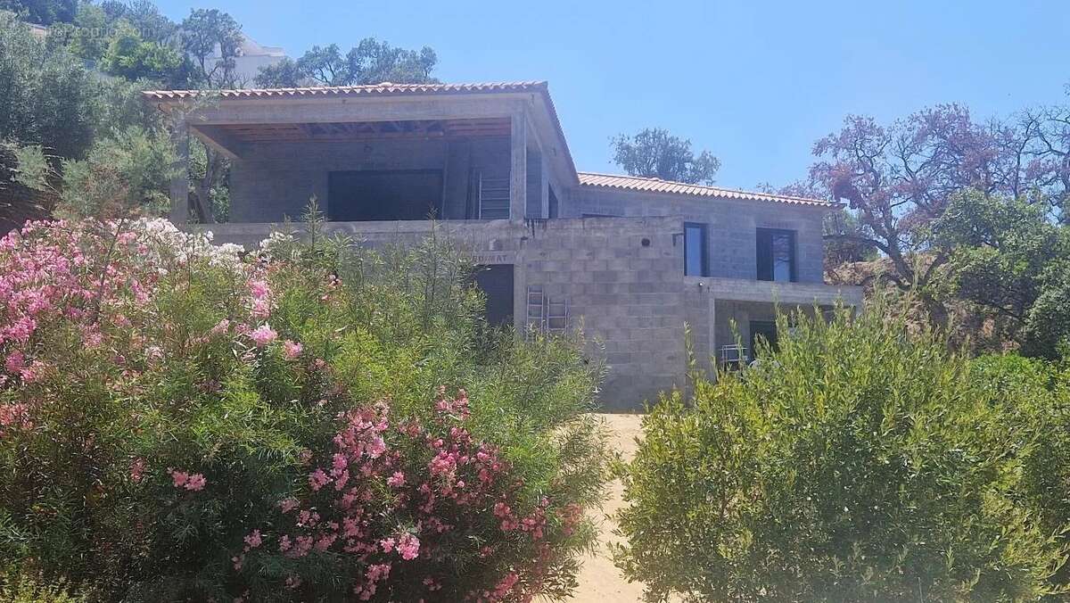 Maison à PIETROSELLA