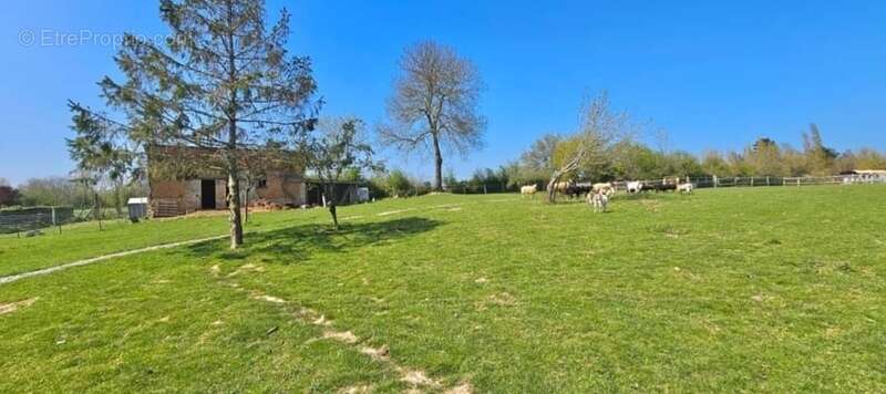  LES OUBEAUX (14230) – Domaine de charme avec chambres d’hôtes, roulotte et plus de 2,2 hectares - photo 30