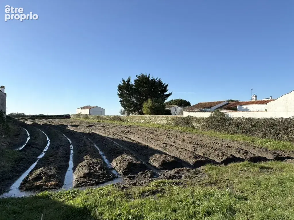 Photo Terrain à Noirmoutier-En-L'ile au prix de 260 000€