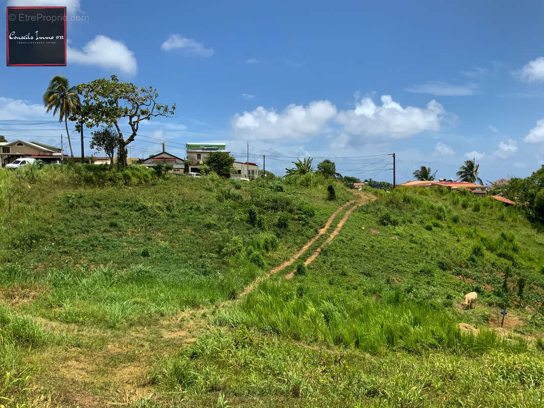 Terrain à SAINTE-MARIE