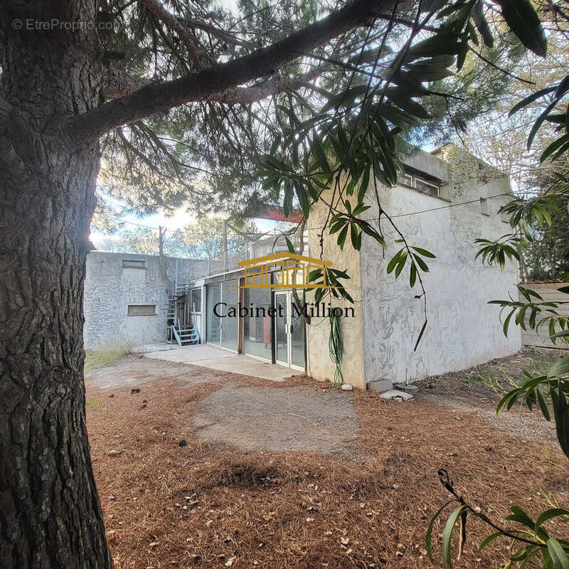 Commerce à BALARUC-LES-BAINS