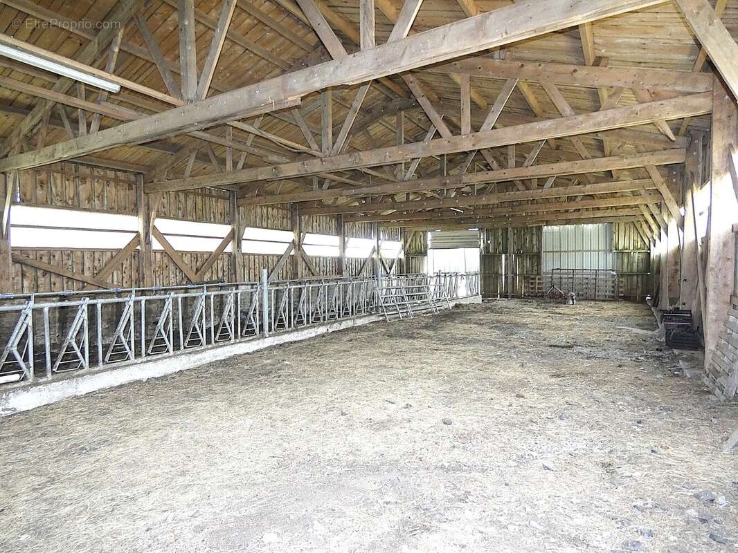 (1460 m²) Ancienne ferme avec vue sur le Mont Gerbier de Jonc  - photo 20