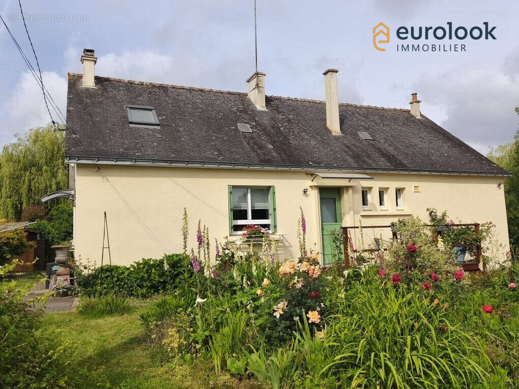 Maison à MALESTROIT