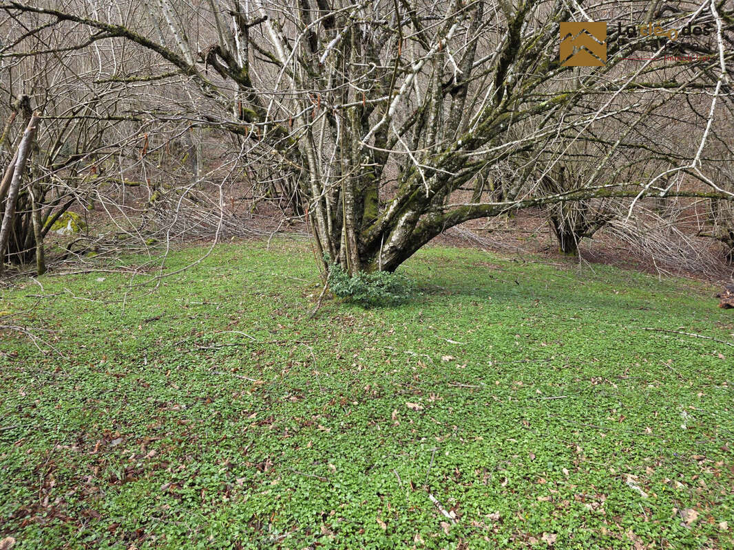 Terrain à ARRAS-EN-LAVEDAN