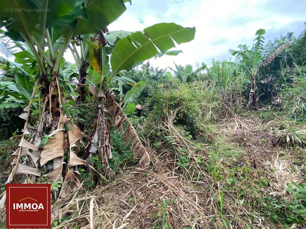 Exclusivité terrain de 429m2 constructible non viabilisé 97437 sainte-anne - photo 2