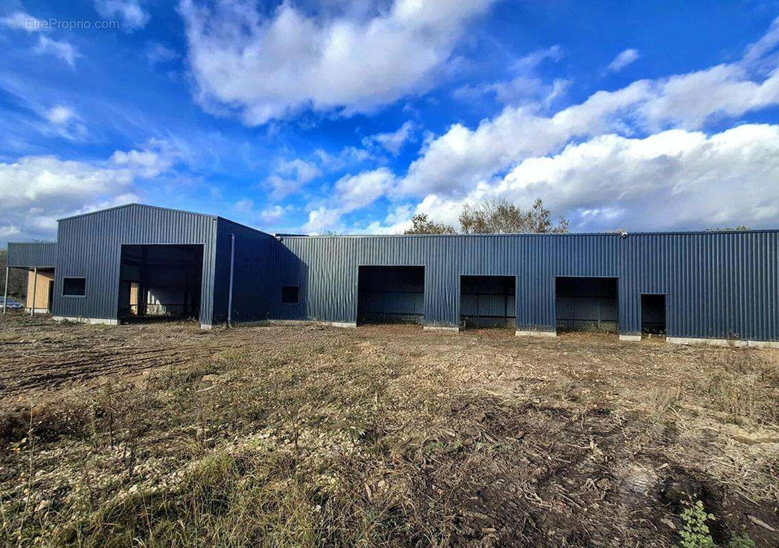 Terrain à LARUSCADE