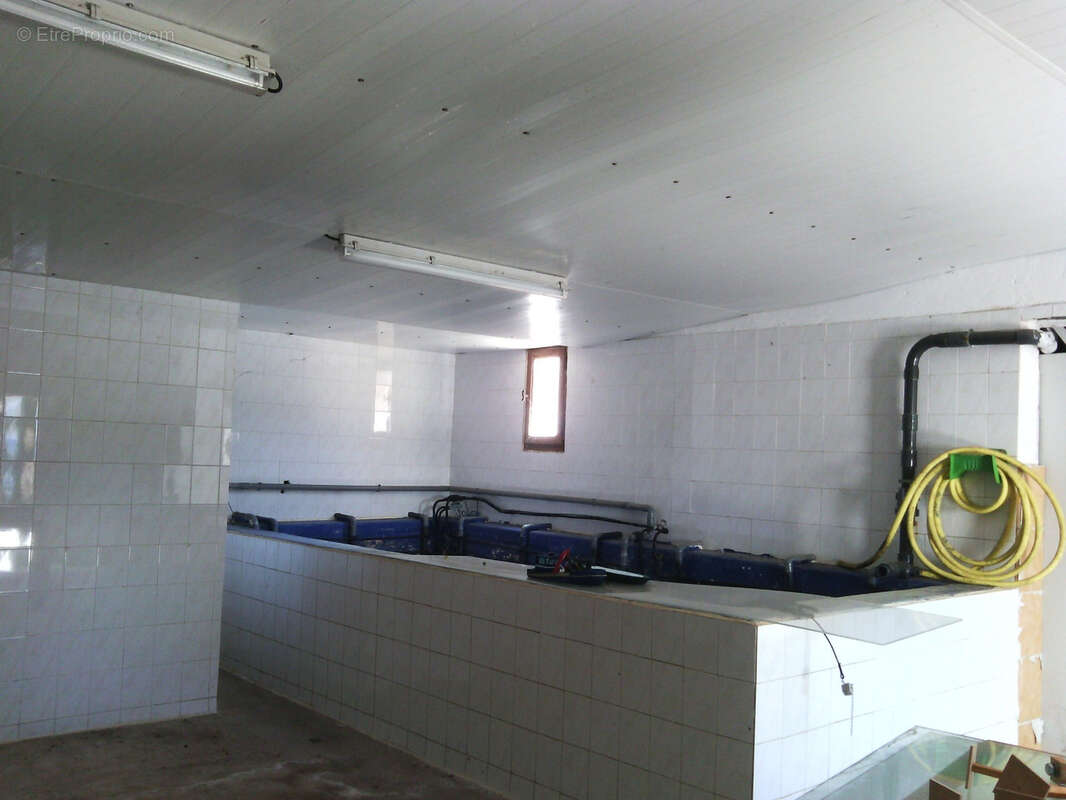 Maison à MARSEILLAN