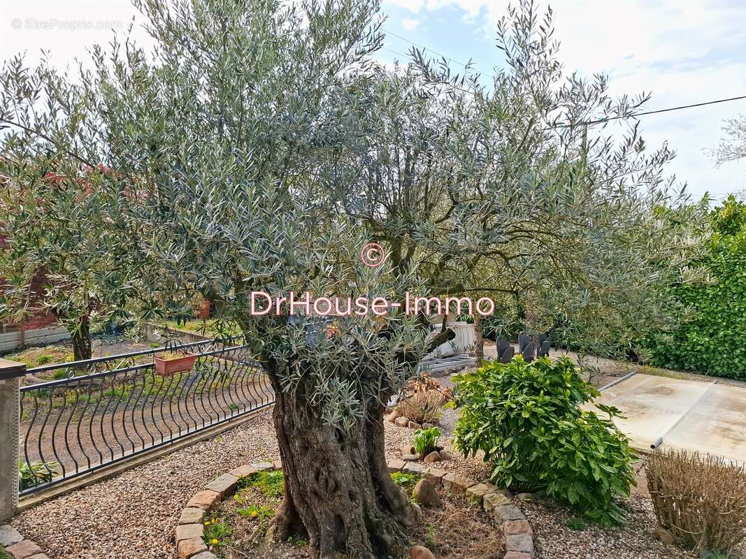 Maison à PONT-DU-CHATEAU