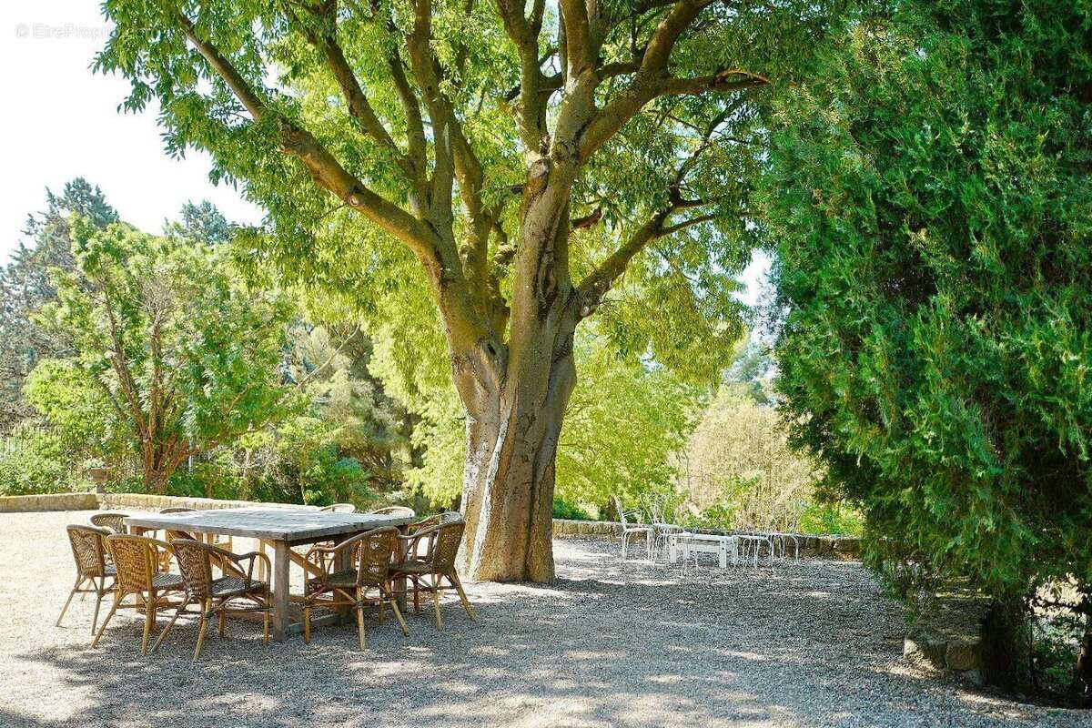 Photo 2 - Maison à PORTIRAGNES