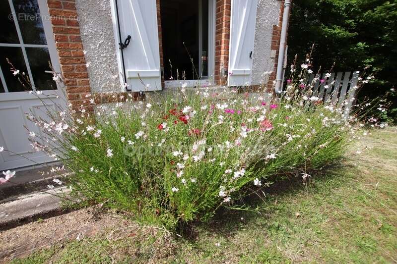 NANCAY, 12 kms de l'A71 SALBRIS MAISON DE CAMPAGNE au calme en très bon état - photo 4