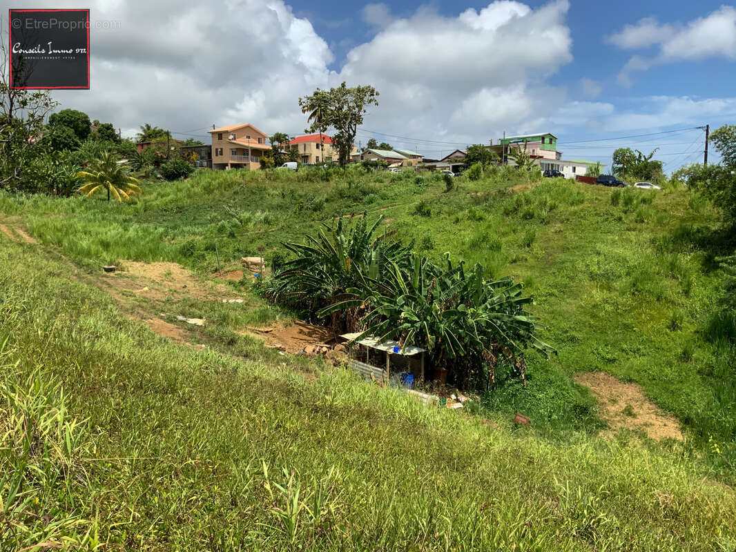 Terrain à SAINTE-MARIE