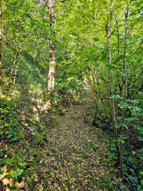 Charmante maison avec piscine dans un écrin de verdure - photo 17