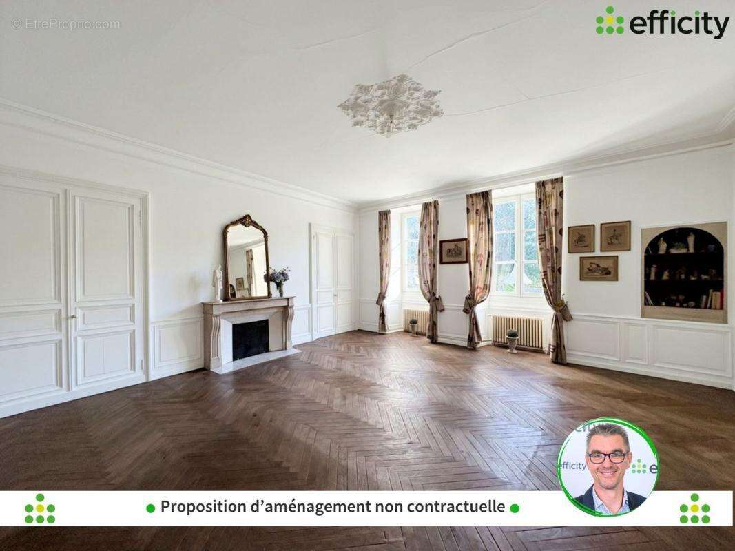 Maison 381 m² à Ruffec  - photo 9
