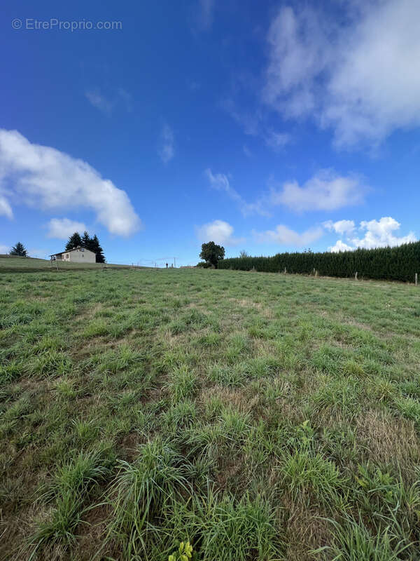 Terrain à MONISTROL-SUR-LOIRE