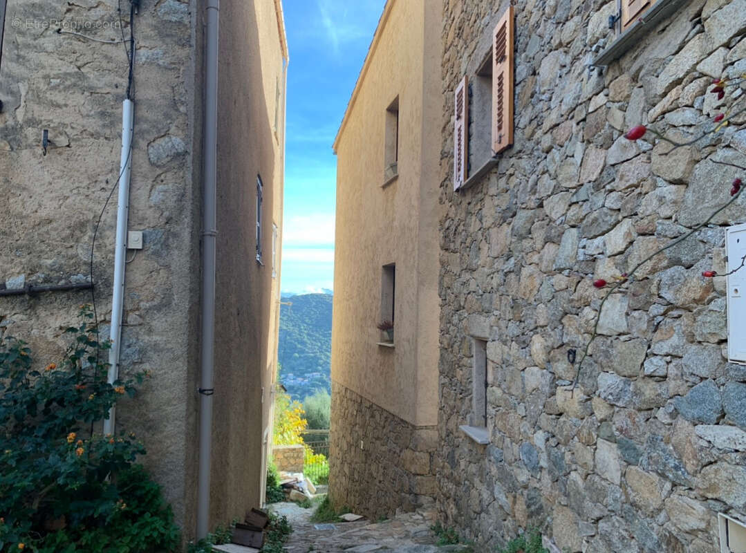 Maison à SANTA-REPARATA-DI-BALAGNA