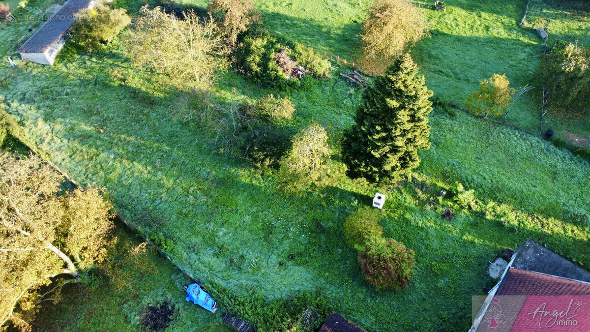 Terrain à DAMMARTIN-MARPAIN