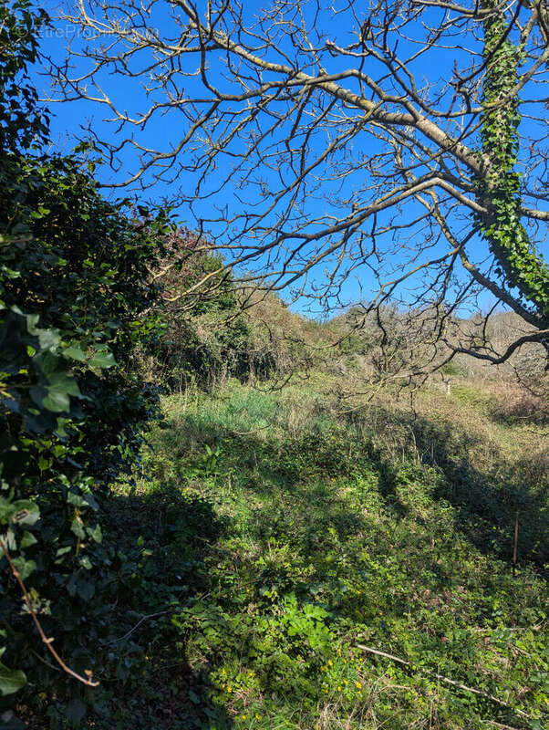 Maison à TREDREZ-LOCQUEMEAU