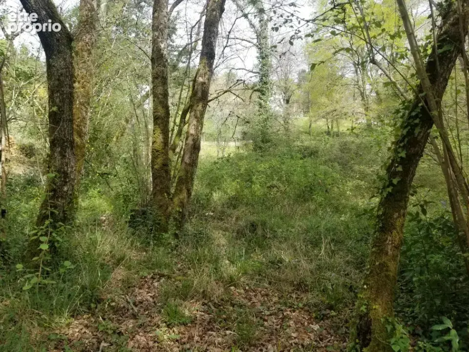 Terrain à SALLEBOEUF