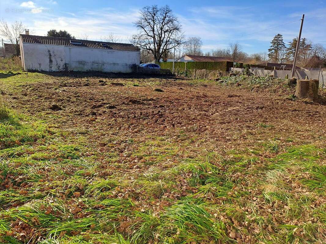 Terrain à CHANIERS