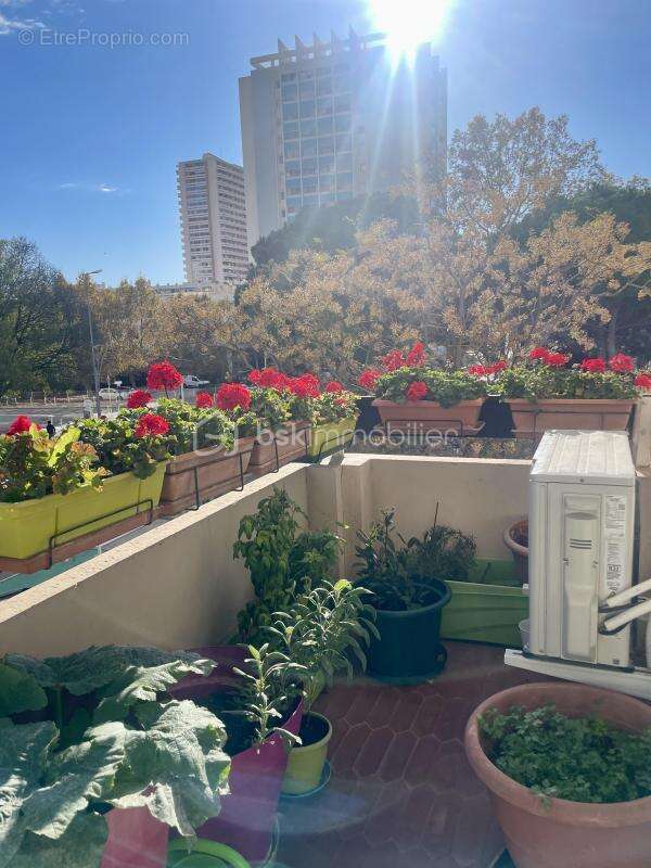 Appartement à TOULON