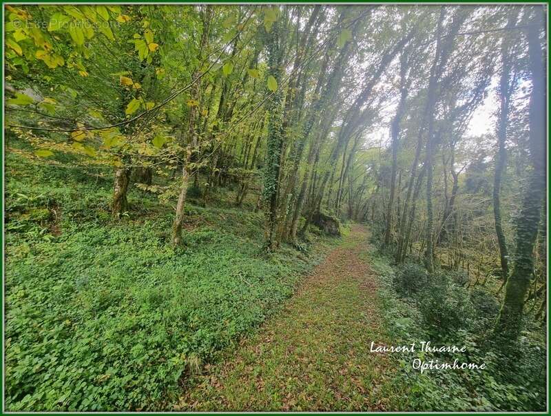 Maison à LES EYZIES-DE-TAYAC-SIREUIL