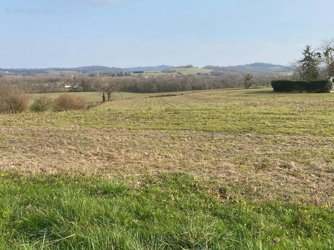 Photo 1 - Terrain à ORTHEZ