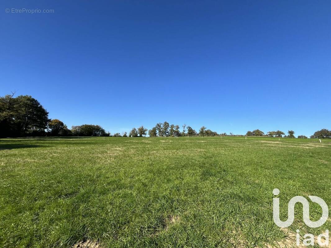 Photo 1 - Terrain à ROUMAZIERES-LOUBERT