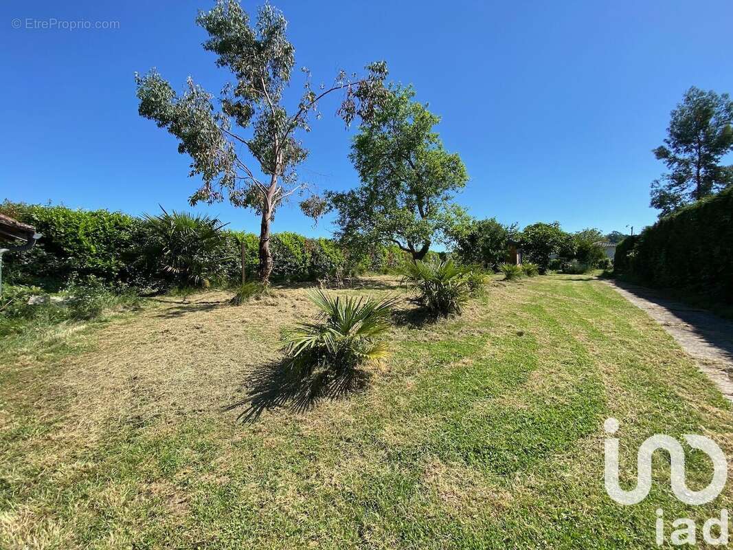 Photo 3 - Terrain à NERAC