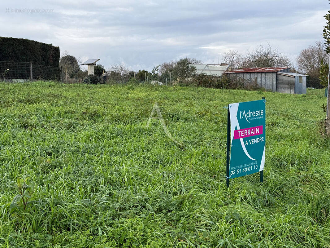 Terrain à AVRILLE