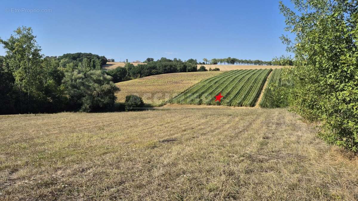 Lavaur secteur - terrain a batir - photo 2