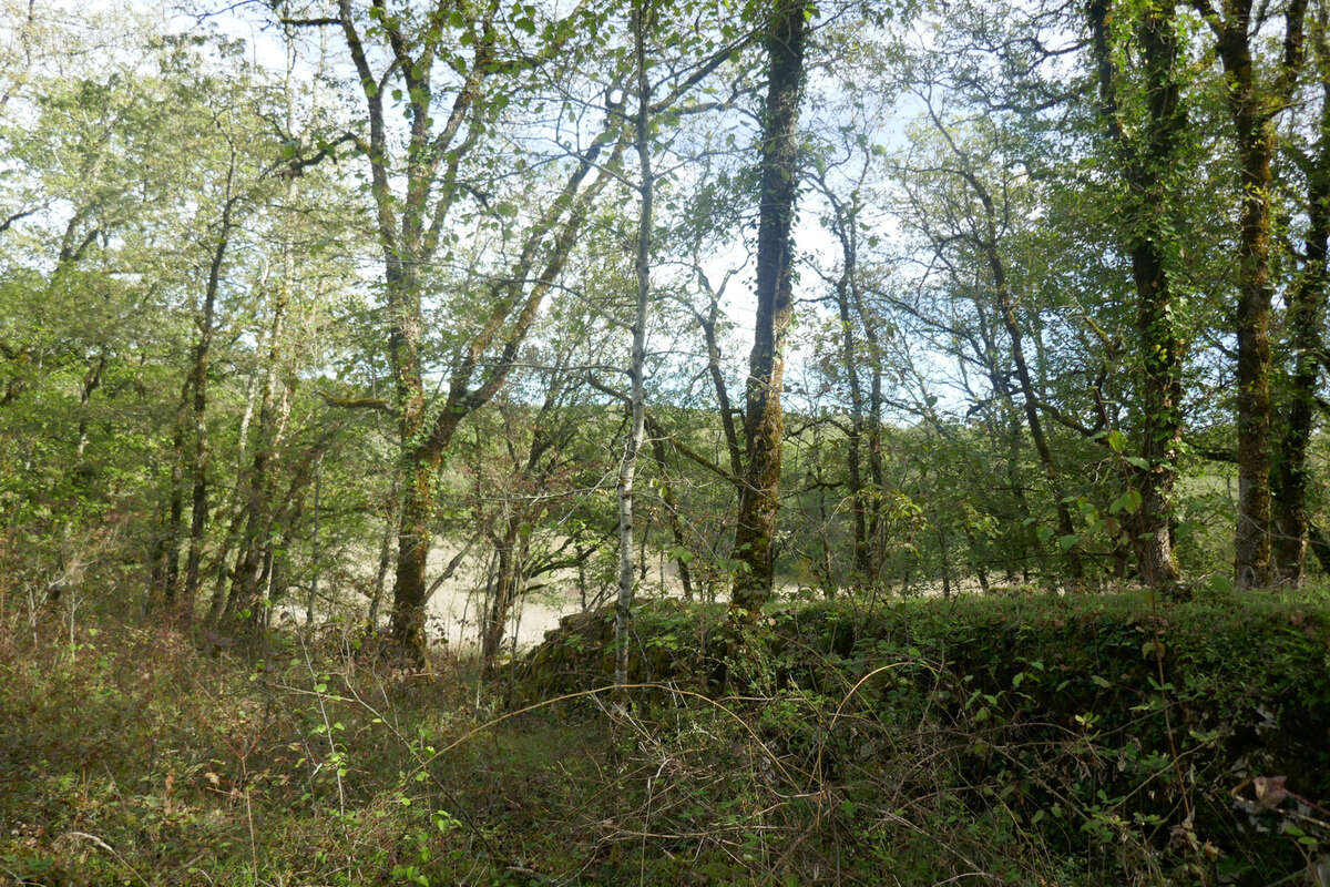 Terrain à LABASTIDE-DU-VERT