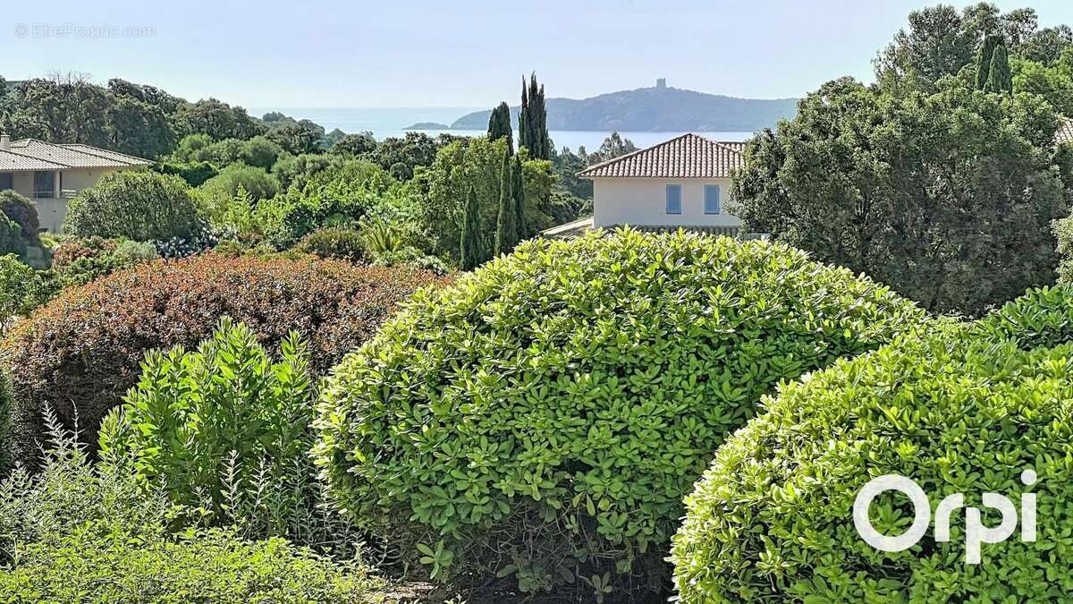 Maison à PORTO-VECCHIO