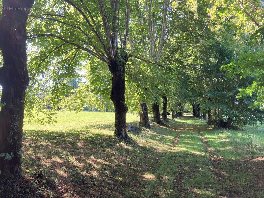 Propriété de caractère au sein d’un château – En exclusivité chez Beaux Villages - photo 14
