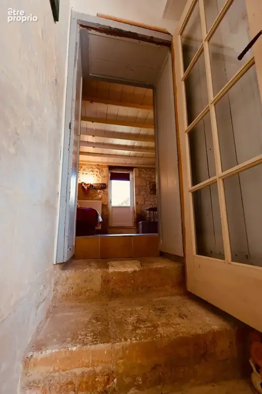 Maison 265 m² à Chenac-Saint-Seurin-D'uzet  - photo 3