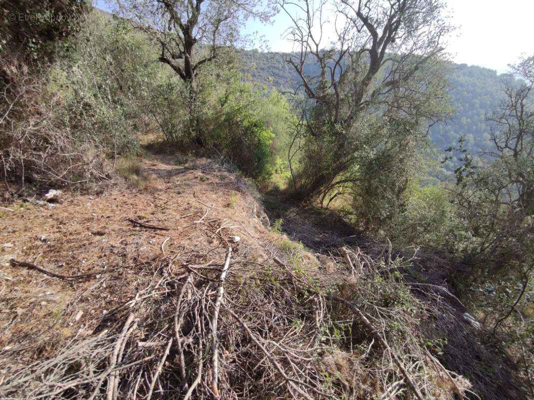 Photo 3 - Terrain à CANTARON