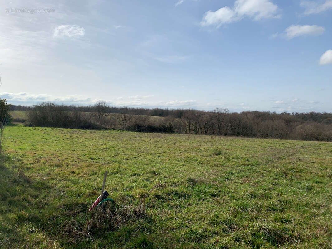 Terrain à BEAUMONT-DE-LOMAGNE
