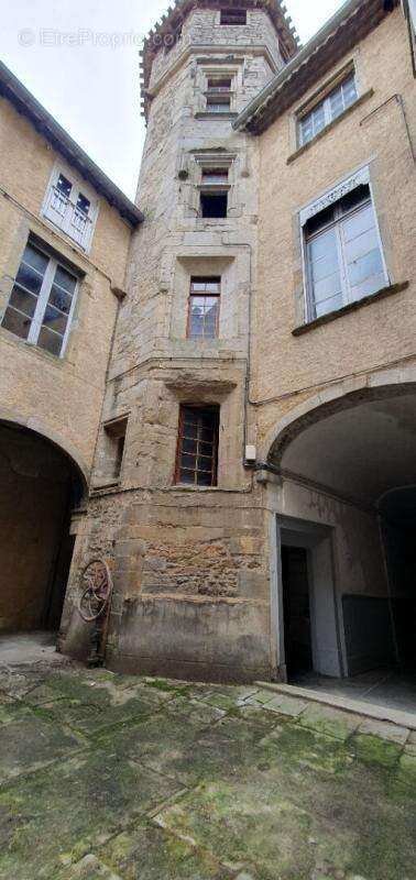 EXCLUSIVITE ! Investissez dans l'histoire ! Un hôtel particulier avec tour classée du XVe siècle, 7 appartements, un local comme - photo 3